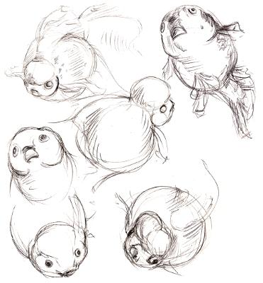 Fish Fish