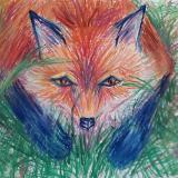 Peering Fox
