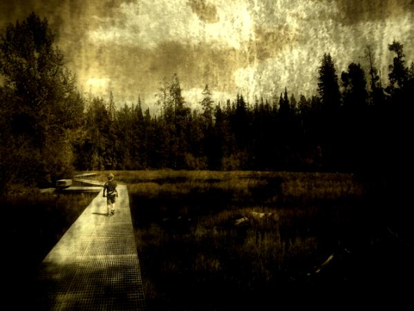 Crossing the Bog Bridge