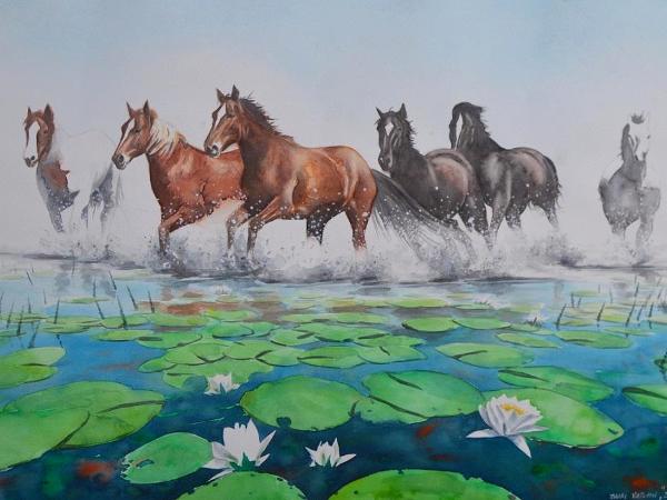 Wild horses of Letea (Romania), 50cm x 70cm, 2017