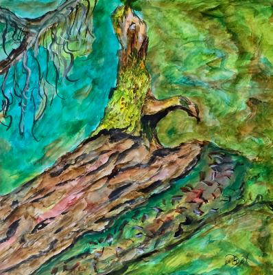 Slow disintergration of Cedar in Lake Metan. Slow disintergration of Cedar in Lake Metan.