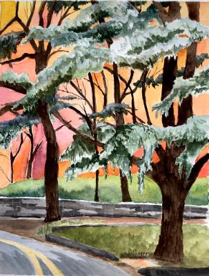 Cedars of Altadena (sold)