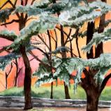 Cedars of Altadena (sold)