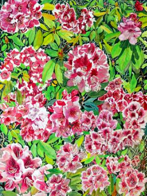 Rhododendron Extraordinaire