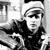 Marlon Brando The Wild One