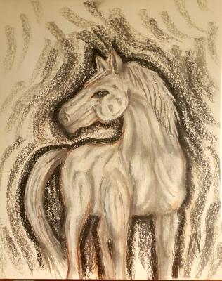 White Horse in Grayscale 