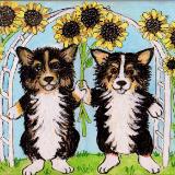 Fluffs with Sunflowers