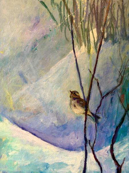 Volo Bog Visitor