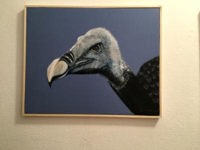 Vulture