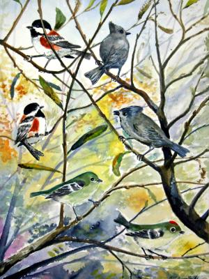 “Chestnut-backed Chickadees, Plain Titmice & Ruby-crowned Kinglets” “Chestnut-backed Chickadees, Plain Titmice & Ruby-crowned Kinglets”