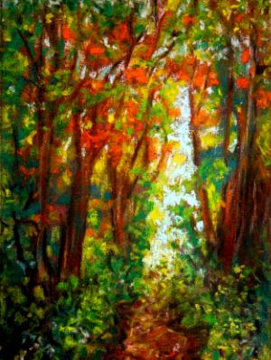 Beauty of Forest