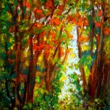 Beauty of Forest