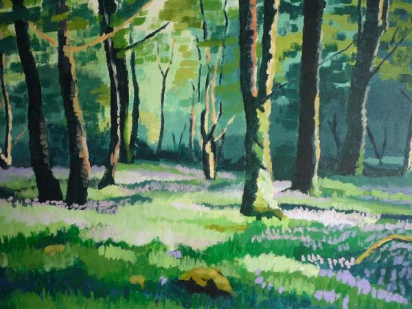 Exmoor bluebell wood (banks of the Barle)