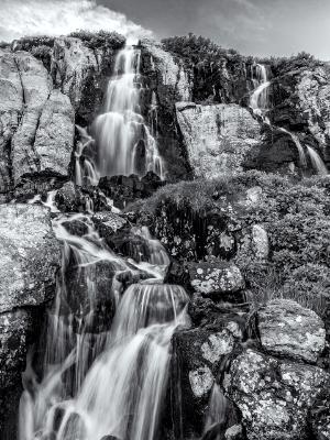 Timberline Falls Black and White Timberline Falls Black and White