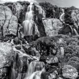 Timberline Falls Black and White