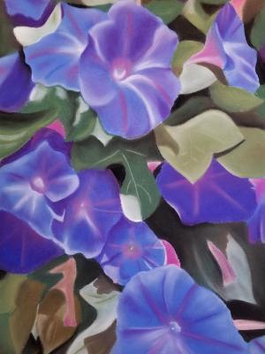 "Morning Glory" "Morning Glory"