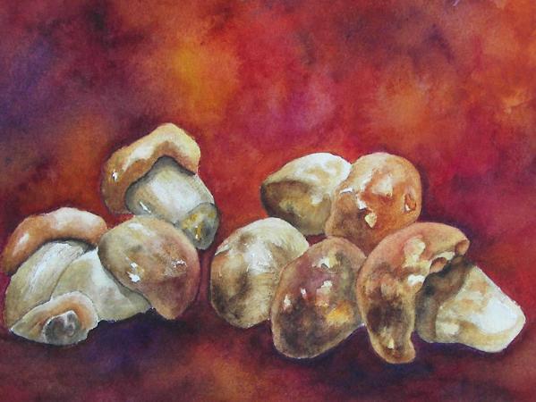 Porcini