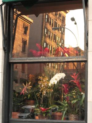 West Village Window