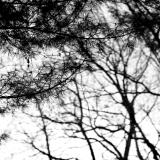 untitled  (ttartisan f/1.4 50mm)