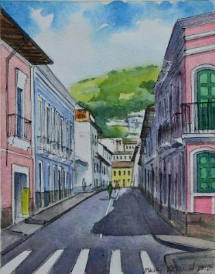 View of the Junin street 2, 30cm x 40cm, 2015