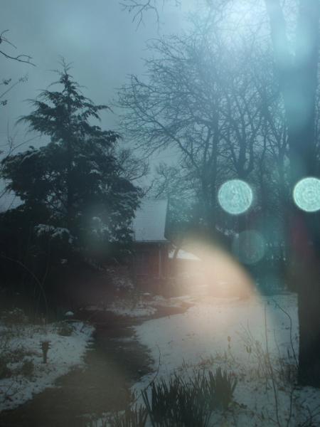 Winter Watching