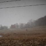 skunk hollow farm #2 (canon rf50 thypoch 28mm f/1.4)