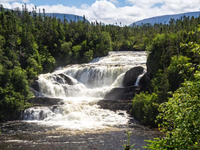 Newfoundland Forest Waterfalls Newfoundland Forest Waterfalls