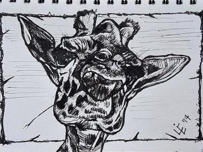 Giraffe Giraffe