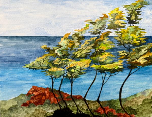 Torrey Pines