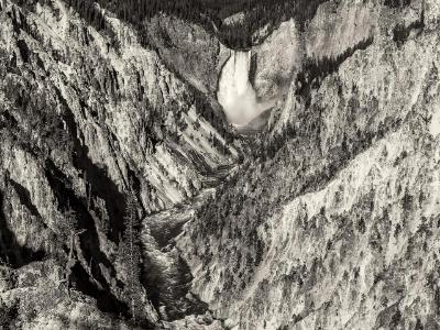 Yellowstone Lower Falls Black and White Yellowstone Lower Falls Black and White