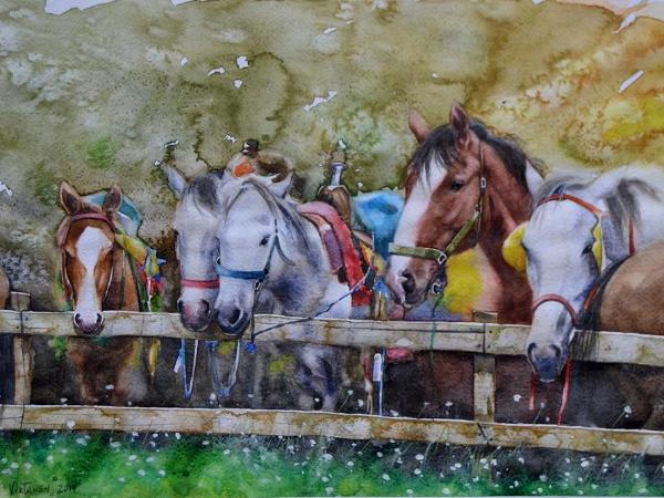Horses behind the fence, 35cm x 50cm, 2014