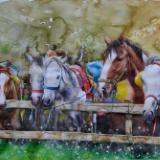 Horses behind the fence, 35cm x 50cm, 2014