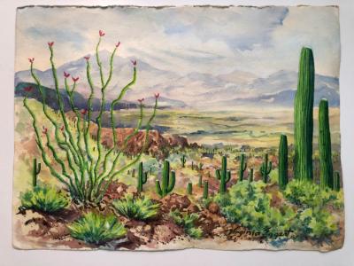 Ocotillo, Saguaros and Mountains