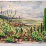 Ocotillo, Saguaros and Mountains