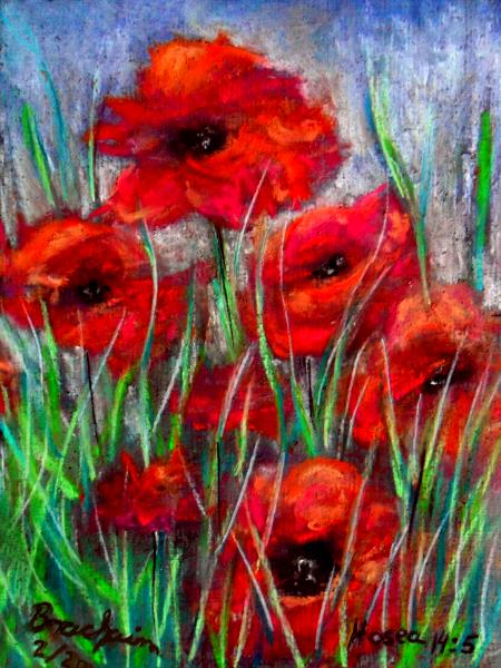 Lilies of the Field