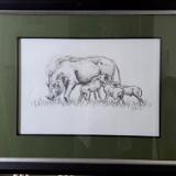 Warthog family
