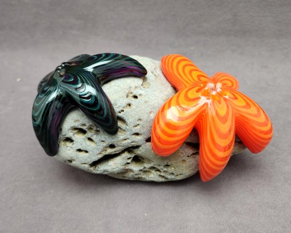 #07282309 starfish on rock 5''Hx8''Wx5.5''D $250