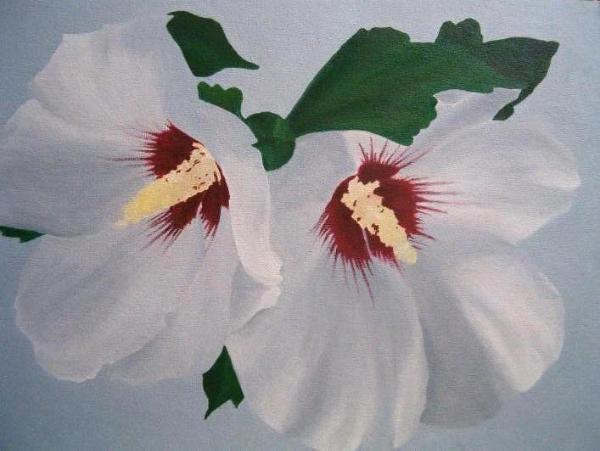 Hibiscus