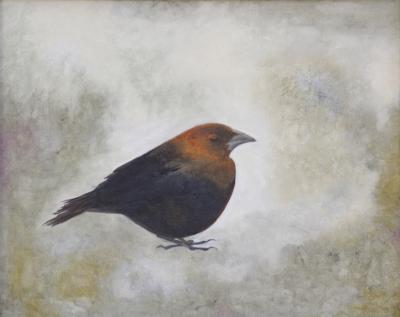 Cowbird Cowbird
