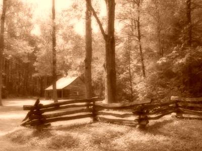 Cades Cove, TN     Carter Shields Cabin in the Great Smoky Mountain National Park