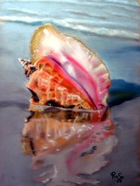 Solitary Conch