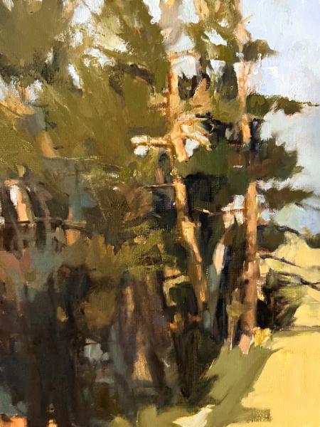 Fall Pine Grove