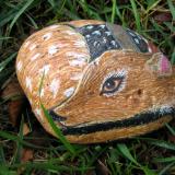  Fawn Memories