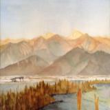 Dirty Socks Duck Club (sold)