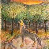 katnaj Artworks    *Colors in Harmony*  Earth, Life, & Nature