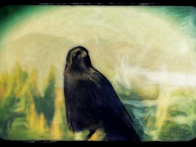 Altered Crow Altered Crow