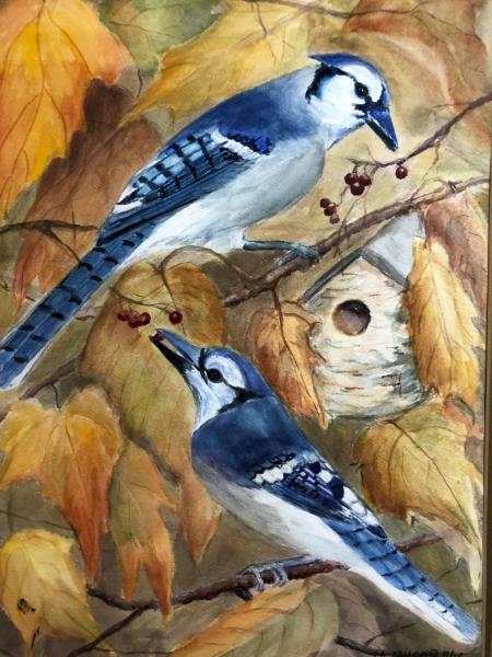 Blue Jays in Autumn