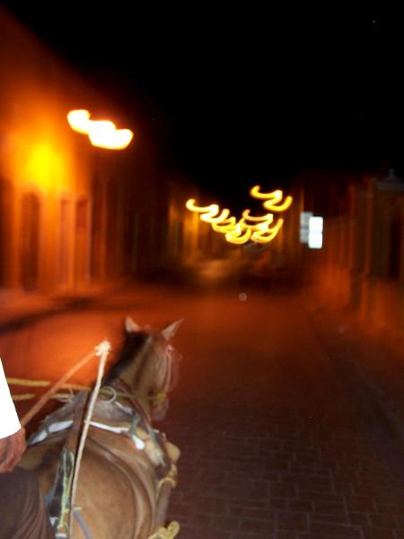 Horse ride through streets of Mexico