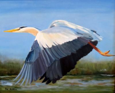 Great Blue Heron in Flight Great Blue Heron in Flight