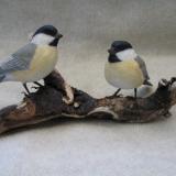 Pair Life size Chickadees